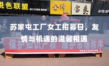 苏家屯工厂女工招募日,友情与机遇的交汇盛会