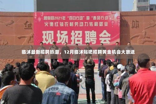 临沭招聘热潮来袭,12月黄金机会大放送,求职招聘尽在临沭贴吧