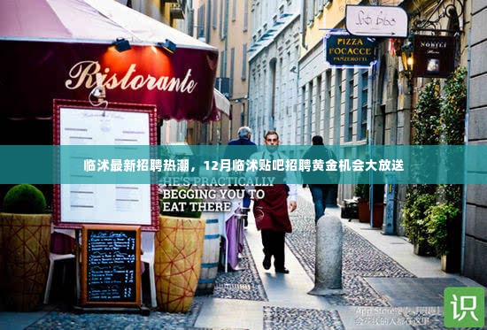 临沭招聘热潮来袭,12月黄金机会大放送,求职招聘尽在临沭贴吧