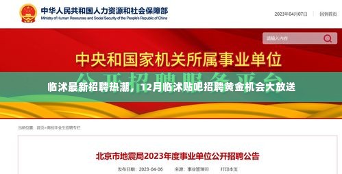 临沭招聘热潮来袭,12月黄金机会大放送,求职招聘尽在临沭贴吧