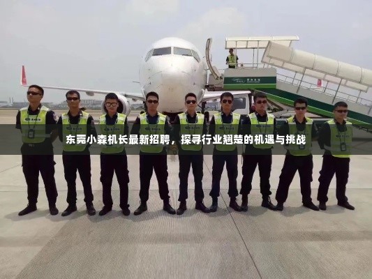 东莞小森机长招聘启事,探寻行业翘楚,迎接机遇与挑战