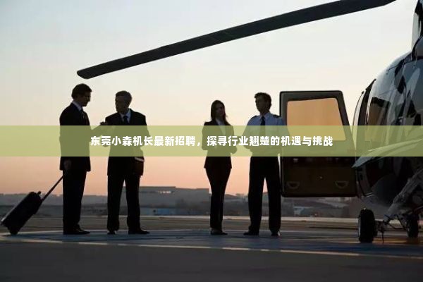 东莞小森机长招聘启事,探寻行业翘楚,迎接机遇与挑战