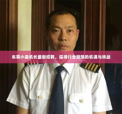 东莞小森机长招聘启事,探寻行业翘楚,迎接机遇与挑战