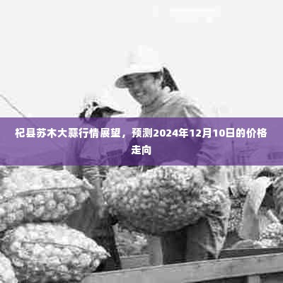 杞县苏木大蒜行情展望,预测2024年12月价格走势分析