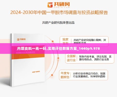内部资料一肖一码,实地评估数据方案_1440p9.978