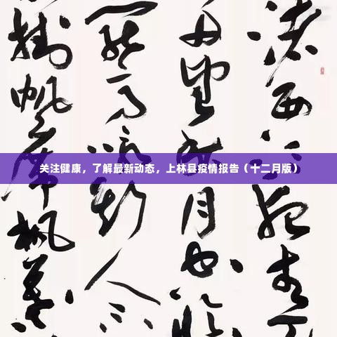 上林县疫情报告(十二月版),关注健康,最新动态解读