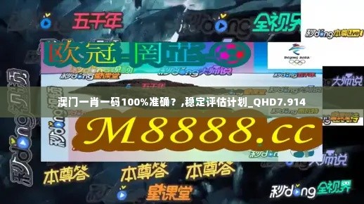澳门一肖一码100%准确?,稳定评估计划_QHD7.914