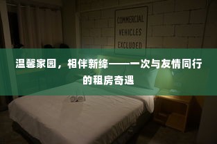 温馨家园的奇遇,友情相伴的租房之旅