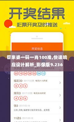 管家婆一码一肖100准,快速响应设计解析_影像版9.236