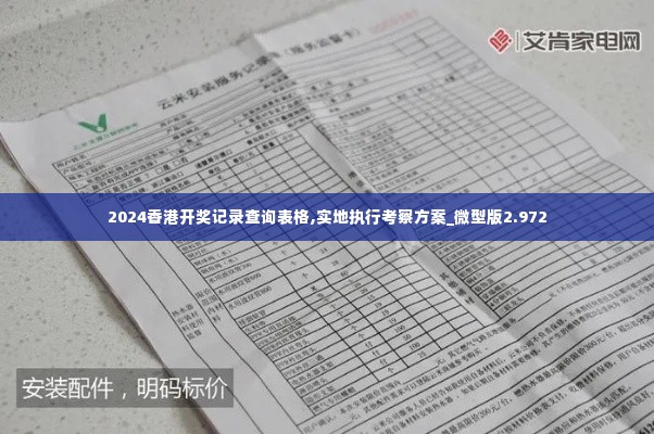 2024香港开奖记录查询表格,实地执行考察方案_微型版2.972