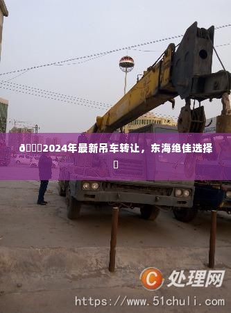 2024年最新吊车转让,东海最佳选购选择