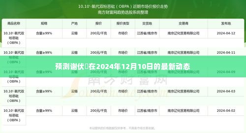 谢伏曕未来动态预测,2024年12月10日展望