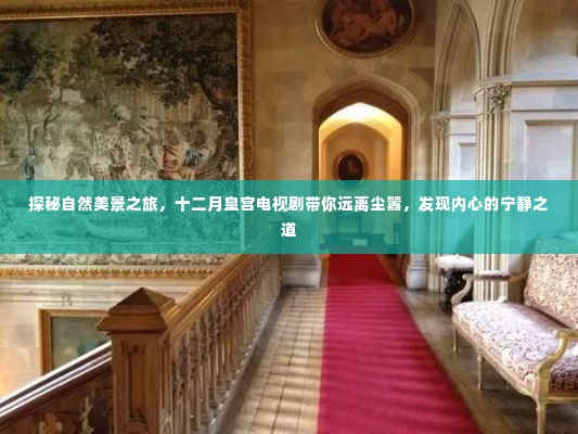 探秘自然美景与内心的宁静,十二月皇宫电视剧带你远离尘嚣之旅
