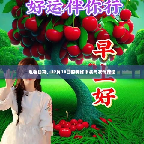 温馨日常,特殊下载与友情传递的温暖篇章(12月10日)