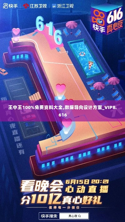 王中王100%免费资料大全,数据导向设计方案_VIP8.616