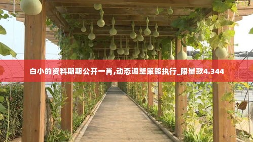 尽心尽力 第3页