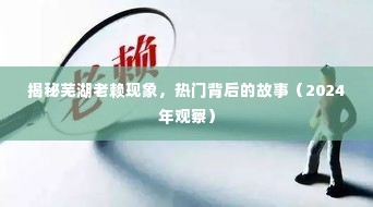 揭秘芜湖老赖现象背后的故事,深度观察与探讨(2024年观察)