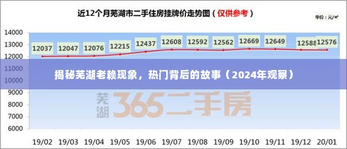 揭秘芜湖老赖现象背后的故事,深度观察与探讨(2024年观察)