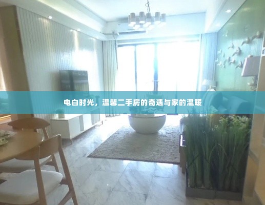 电白时光,二手房的奇遇与家的温馨归宿