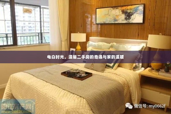 电白时光,二手房的奇遇与家的温馨归宿