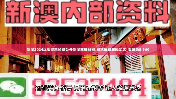 新澳2024正版资料免费公开新澳金牌解密,现状解答解释定义_专家版5.560