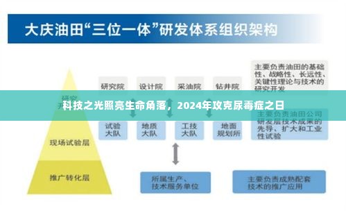 科技之光照亮生命角落,攻克尿毒症的新希望(2024年展望)