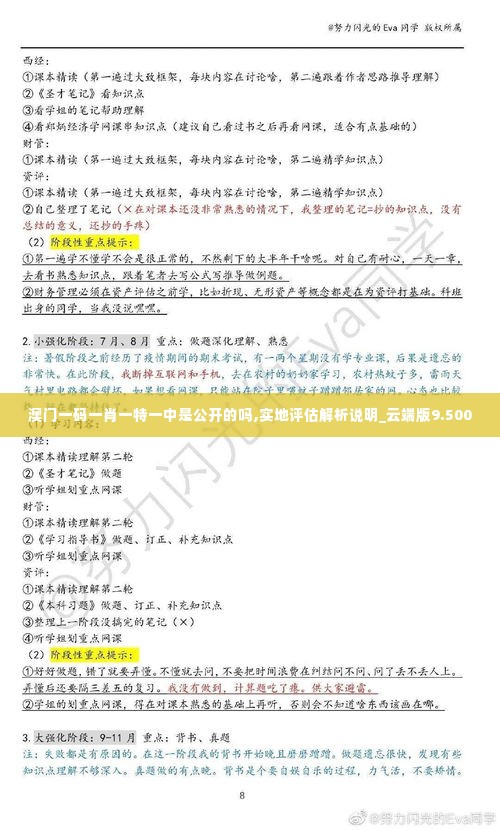 澳门一码一肖一特一中是公开的吗,实地评估解析说明_云端版9.500