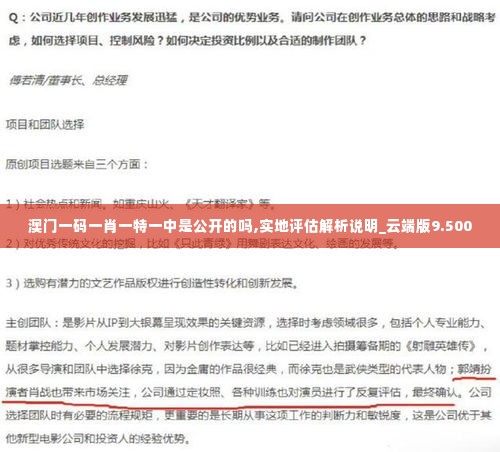 澳门一码一肖一特一中是公开的吗,实地评估解析说明_云端版9.500