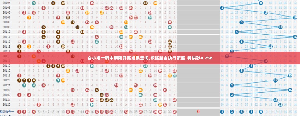 白小姐一码中期期开奖结果查询,数据整合执行策略_特供款4.756