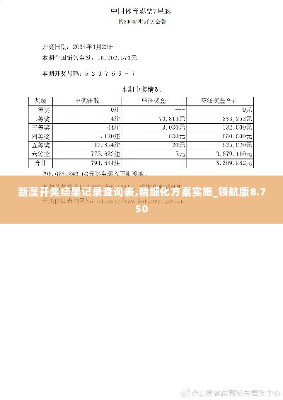 新澳开奖结果记录查询表,精细化方案实施_领航版8.750