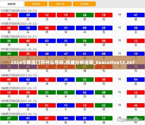 2024今晚澳门开什么号码,权威分析说明_Executive12.267
