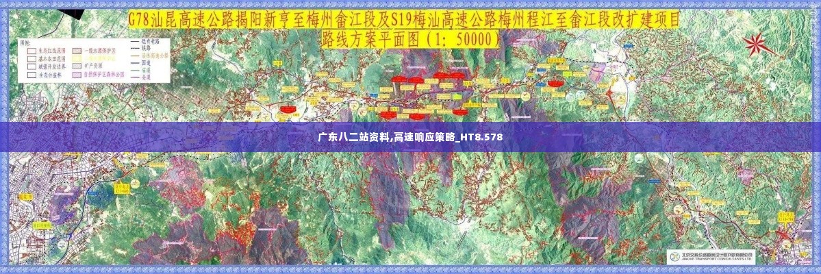 广东八二站资料,高速响应策略_HT8.578
