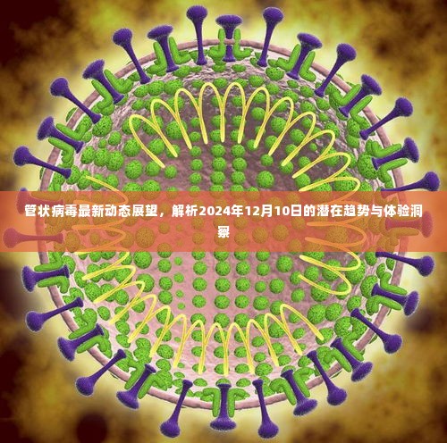 解析,管状病毒未来趋势展望及体验洞察至2024年12月10日潜在动态影响标题