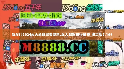 新澳门2024天天彩管家婆资料,深入数据执行策略_限定版2.169