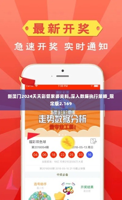 新澳门2024天天彩管家婆资料,深入数据执行策略_限定版2.169