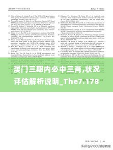 澳门三期内必中三肖,状况评估解析说明_The7.178