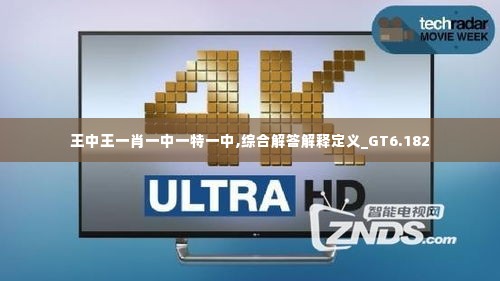 王中王一肖一中一特一中,综合解答解释定义_GT6.182