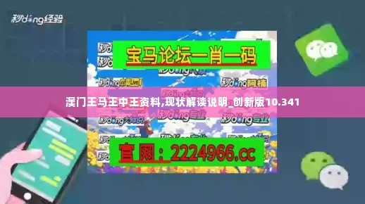 澳门王马王中王资料,现状解读说明_创新版10.341