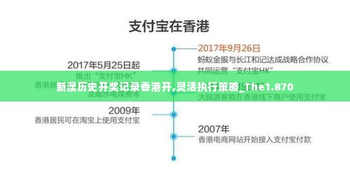 新澳历史开奖记录香港开,灵活执行策略_The1.870