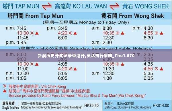 新澳历史开奖记录香港开,灵活执行策略_The1.870