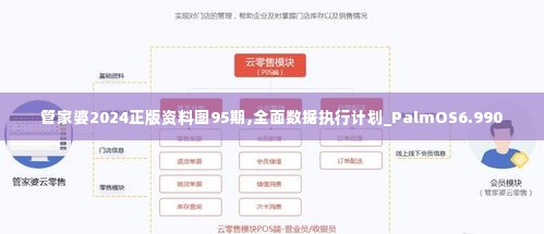 管家婆2024正版资料图95期,全面数据执行计划_PalmOS6.990