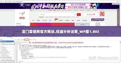 澳门雷锋网官方网站,权威分析说明_WP版1.803