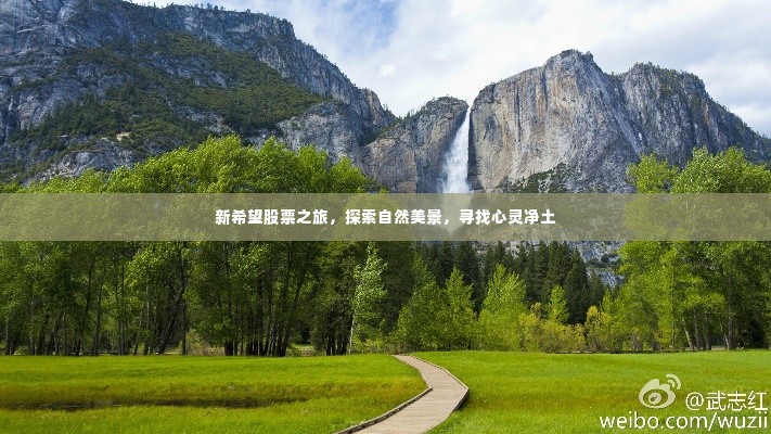 新希望股票之旅,探索自然美景,寻觅心灵净土