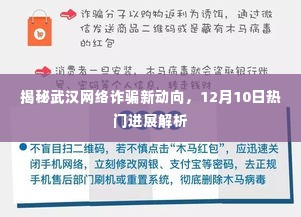 揭秘武汉网络诈骗新动向,最新进展解析(附日期)