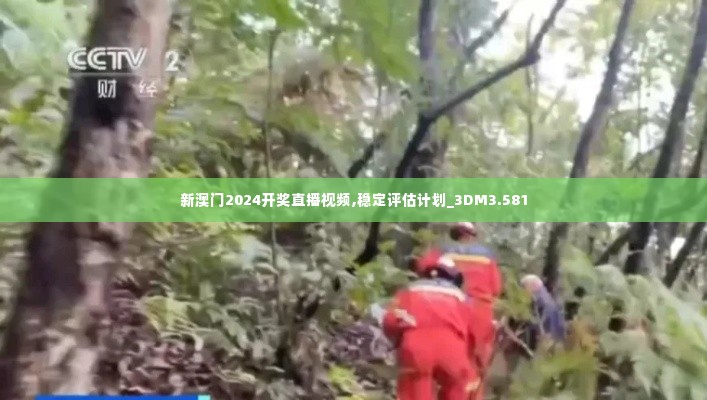 新澳门2024开奖直播视频,稳定评估计划_3DM3.581