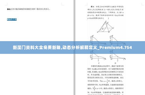 新澳门资料大全免费新鼬,动态分析解释定义_Premium4.754