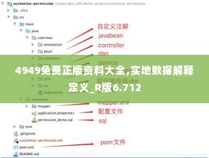 4949免费正版资料大全,实地数据解释定义_R版6.712