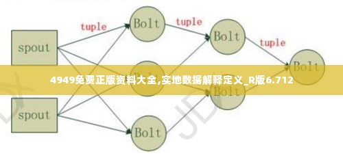 4949免费正版资料大全,实地数据解释定义_R版6.712