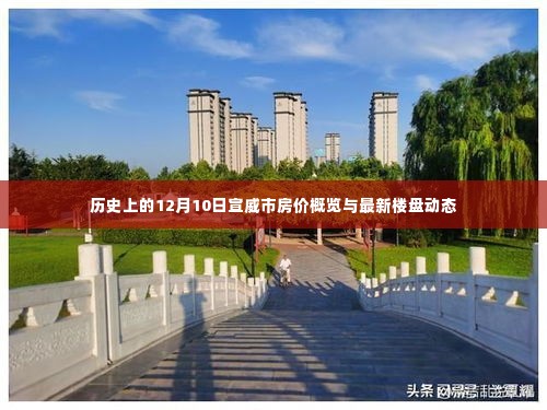 历史上的宣威市房价概览与最新楼盘动态,聚焦12月10日市场动态