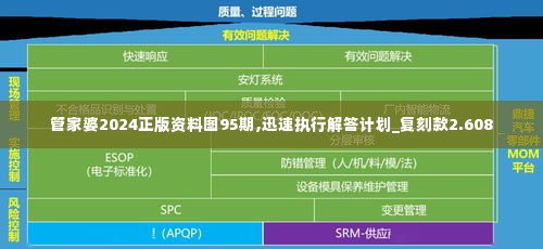 管家婆2024正版资料图95期,迅速执行解答计划_复刻款2.608